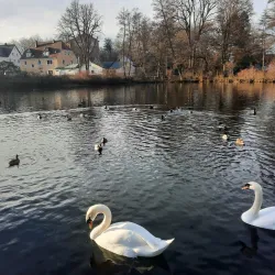 Stadtpark Amberg - Amberg