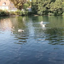 Stadtpark Amberg - Amberg