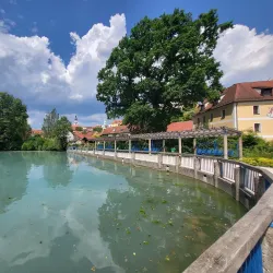 Stadtpark Amberg - Amberg