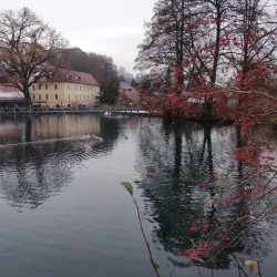 Stadtpark Amberg - Amberg