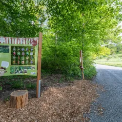 Angelbachtal Bird Watching Spots - Angelbachtal