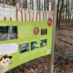 Angelbachtal Bird Watching Spots - Angelbachtal