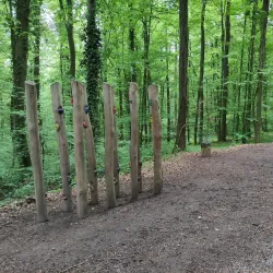 Angelbachtal Bird Watching Spots - Angelbachtal