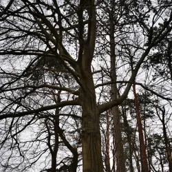 Angelbachtal Cycling Routes - Angelbachtal