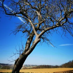 Angelbachtal Cycling Routes - Angelbachtal