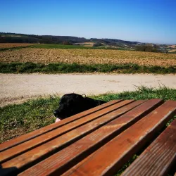 Angelbachtal Cycling Routes - Angelbachtal