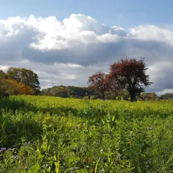 Angelbachtal Cycling Routes - Angelbachtal