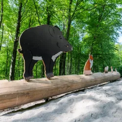 Angelbachtal Nature Trails - Angelbachtal