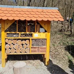 Angelbachtal Nature Trails - Angelbachtal