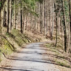 Angelbachtal Nature Trails - Angelbachtal
