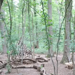 Angelbachtal Nature Trails - Angelbachtal