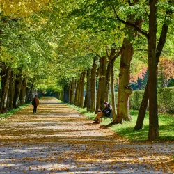 Hofgarten Ansbach - Ansbach