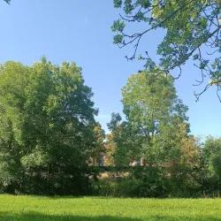 Kunsthalle Ansbach - Ansbach