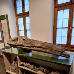 Markgrafen Museum - Ansbach