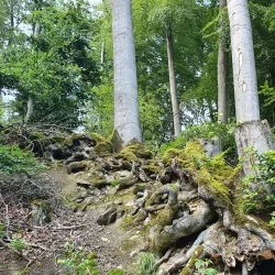 Arnsberg Forest Nature Park (Naturpark Arnsberger Wald) - Arnsberg