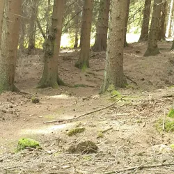 Arnsberg Forest Nature Park (Naturpark Arnsberger Wald) - Arnsberg