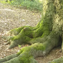 Arnsberg Forest Nature Park (Naturpark Arnsberger Wald) - Arnsberg
