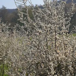 Arnsberg Forest Nature Park (Naturpark Arnsberger Wald) - Arnsberg