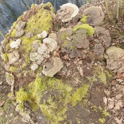 Arnsberg Forest Nature Park (Naturpark Arnsberger Wald) - Arnsberg