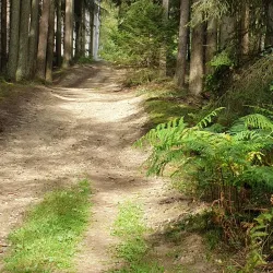 Arnsberg Forest Nature Park (Naturpark Arnsberger Wald) - Arnsberg