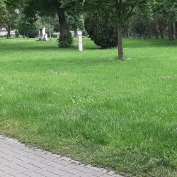 Hüsten Town Center - Arnsberg