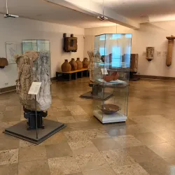 Aschaffenburg City Museum (Stadtmuseum Aschaffenburg) - Aschaffenburg