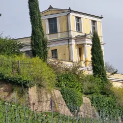 Main River Promenade - Aschaffenburg