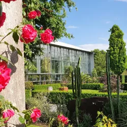 Augsburg Botanical Gardens - Augsburg