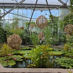 Augsburg Botanical Gardens - Augsburg