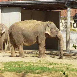 Augsburg Zoo - Augsburg