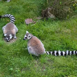 Augsburg Zoo - Augsburg