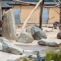 Augsburg Zoo - Augsburg