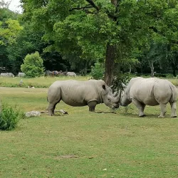 Augsburg Zoo - Augsburg