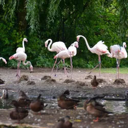 Augsburg Zoo - Augsburg