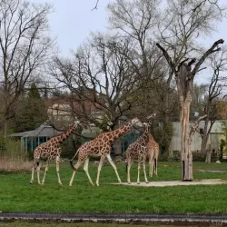 Augsburg Zoo - Augsburg