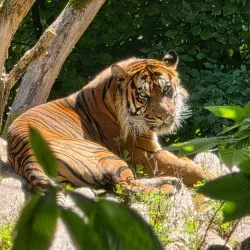Augsburg Zoo - Augsburg