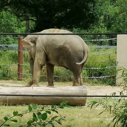 Augsburg Zoo - Augsburg