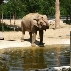 Augsburg Zoo - Augsburg