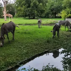 Augsburg Zoo - Augsburg