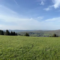 Kissinger Hütte - Bad Kissingen