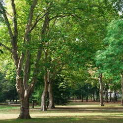 Luitpoldpark - Bad Kissingen