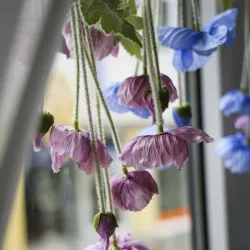 New Spa House (Neues Kurhaus) - Bad Kissingen