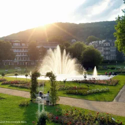 Rosengarten (Rose Garden) - Bad Kissingen
