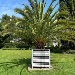 Rosengarten (Rose Garden) - Bad Kissingen