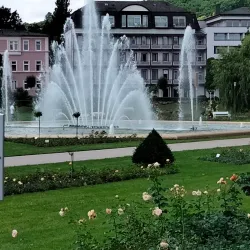Rosengarten (Rose Garden) - Bad Kissingen