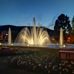 Rosengarten (Rose Garden) - Bad Kissingen