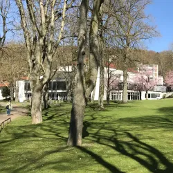 Kurpark Bad Mergentheim - Bad Mergentheim