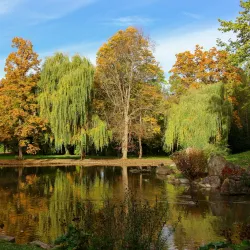 Mergentheimer Schlossgarten - Bad Mergentheim