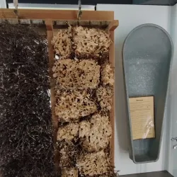 Museum Bad Salzuflen - Bad Salzuflen