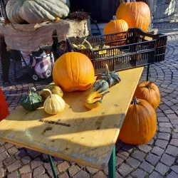 Salzhof Bad Salzuflen - Bad Salzuflen